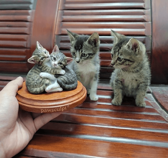 Take & Yume - The Boss's Twin Cats