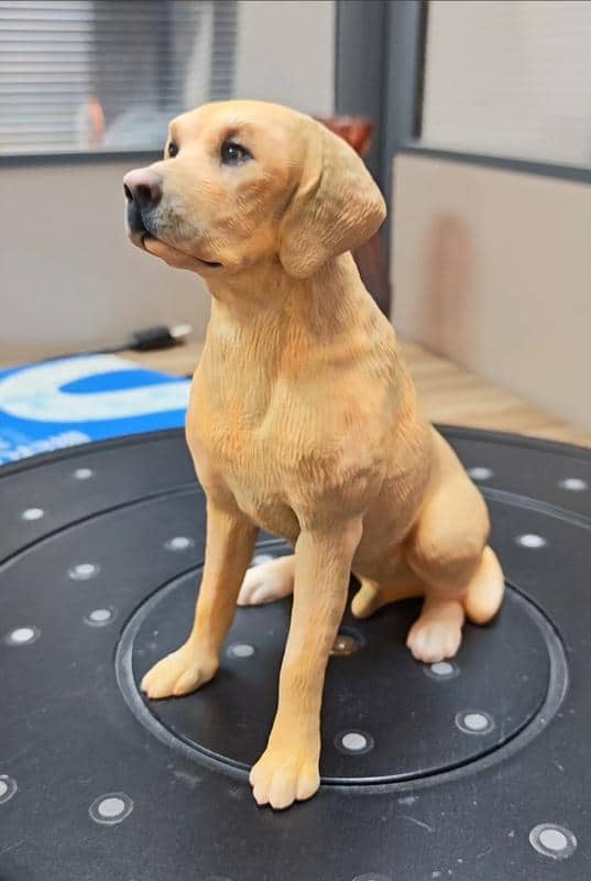 A finished full-color Labrador figurine photographed on the workshop turntable