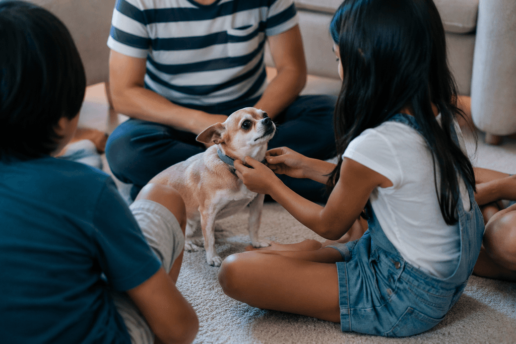 A family with young kids in a support circle as one child holds their Chihuahua's tiny collar — another moment