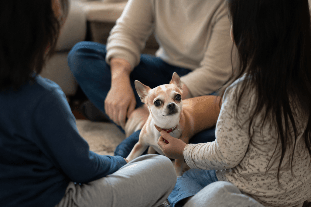 A family with young kids in a support circle as one child holds their Chihuahua's tiny collar