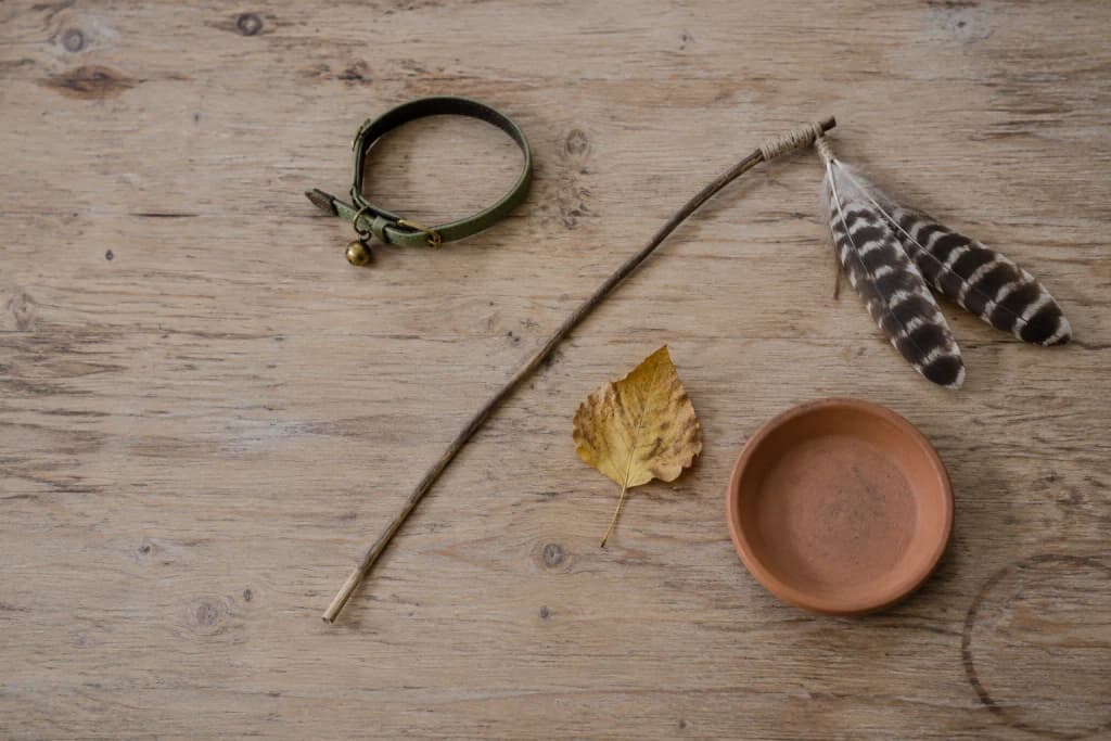 Top-down view of a pine table holding a brass-belled leather collar, a feather wand toy and a dried cottonwood leaf