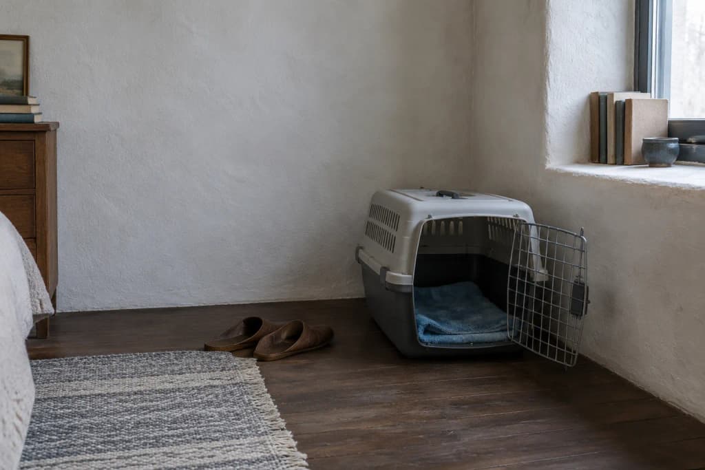 Empty cat carrier with its wire door open and a folded towel inside, in a plastered bedroom corner by a window