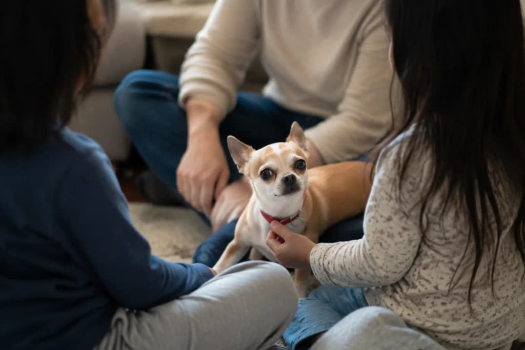 A family with young kids in a support circle as one child holds their Chihuahua's tiny collar