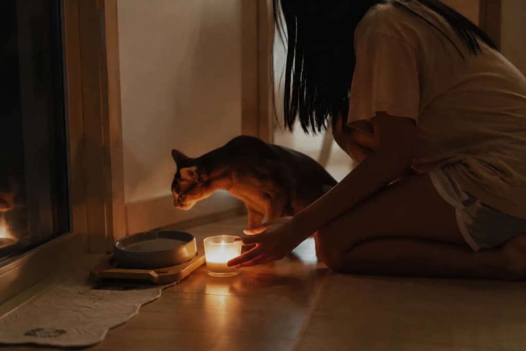 A teenager placing a small candle beside their Abyssinian cat's empty food bowl at night