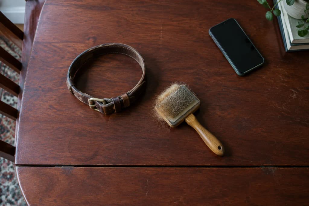 Overhead view of a leather dog collar, a wooden brush holding golden fur and a face-down phone on a mahogany table