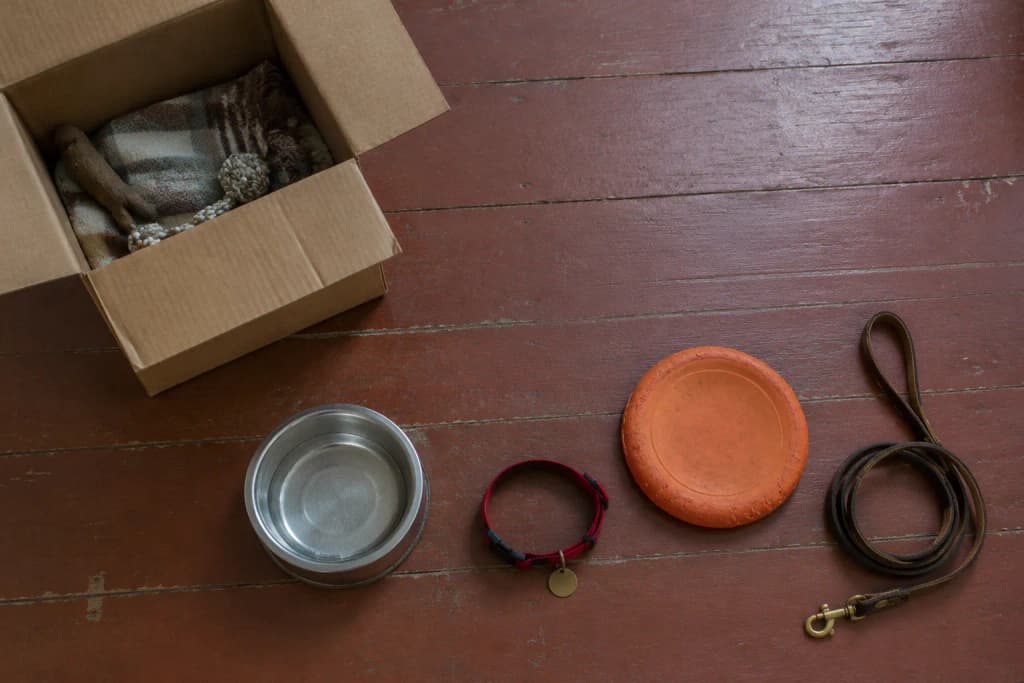 Leash, red collar, worn frisbee and steel bowl laid beside an open cardboard box on a pine floor