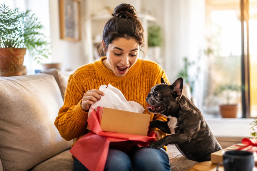 An owner reacting with joyful surprise as their French Bulldog jumps up beside the unwrapped gift