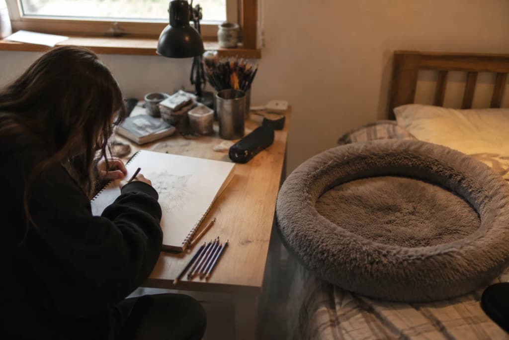 A teenager sketching at a desk near their Maine Coon's empty cat bed during quiet grief
